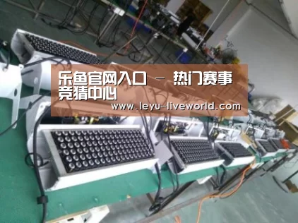 乐鱼体育赛事直播案例展示一