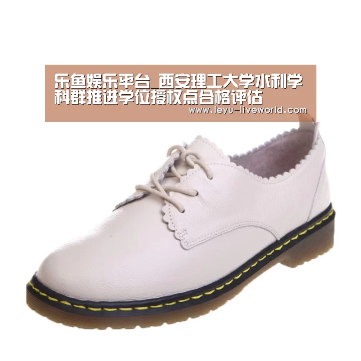 乐鱼娱乐平台_西安理工大学水利学科群推进学位授权点合格评估(图2) 乐鱼娱乐平台