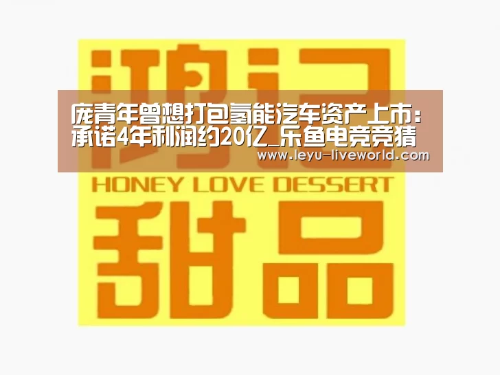 庞青年曾想打包氢能汽车资产上市:承诺4年利润约20亿_乐鱼电竞竞猜(图2) 乐鱼体育赛事直播