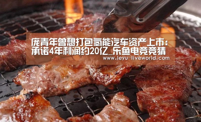 庞青年曾想打包氢能汽车资产上市:承诺4年利润约20亿_乐鱼电竞竞猜(图1) 乐鱼体育赛事直播